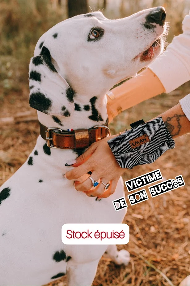Pochette à friandises pour chiens - Bracelet de balade - Modèle Plume noir