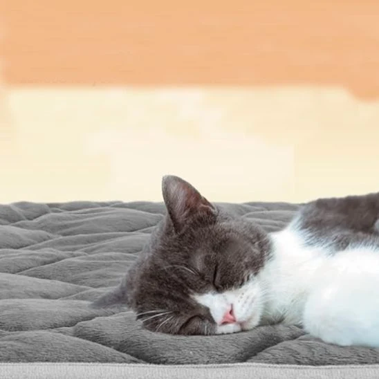Tapis chauffant chat sans électricité |Chaleur naturelle