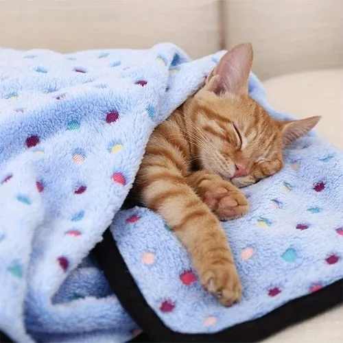 couverture pour chats douillette