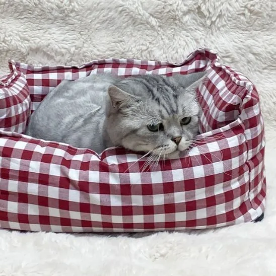 coussin chat vichy