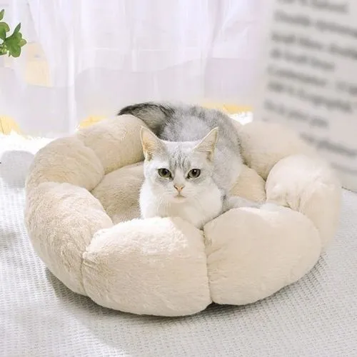panier chat original fleur