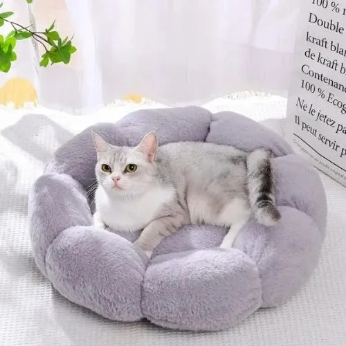 panier chat original fleur
