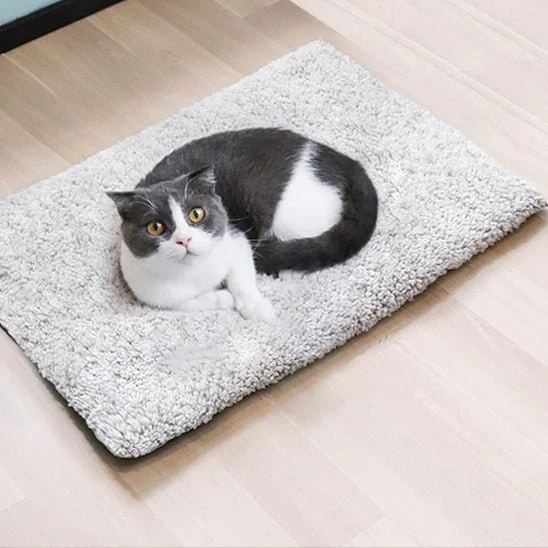 coussin chauffant chat doux