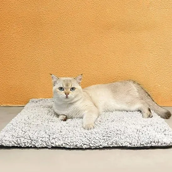 coussin chauffant chat doux