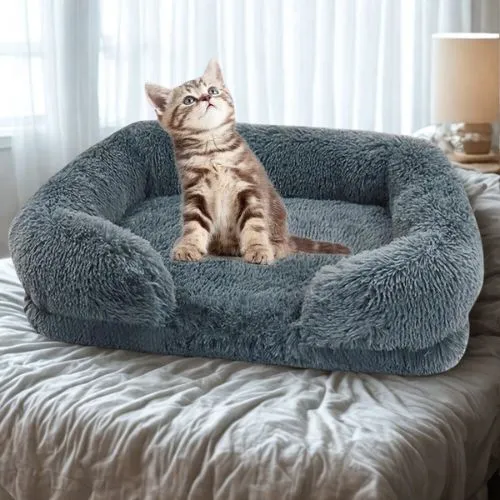 tapis pour chat orthopédique