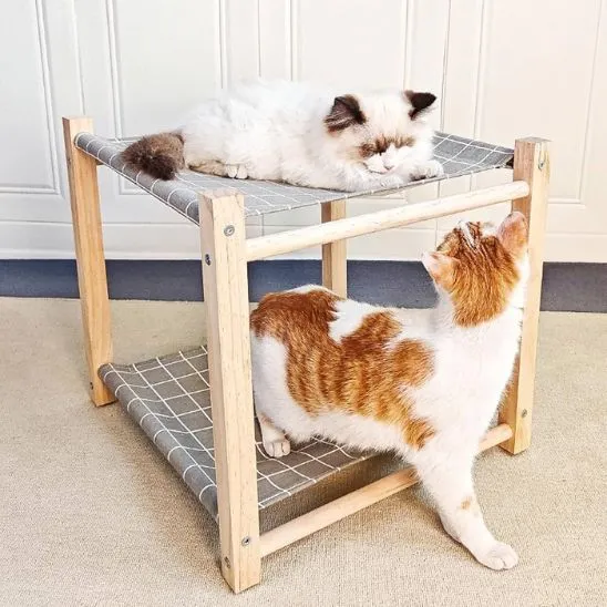 hamac pour chat double