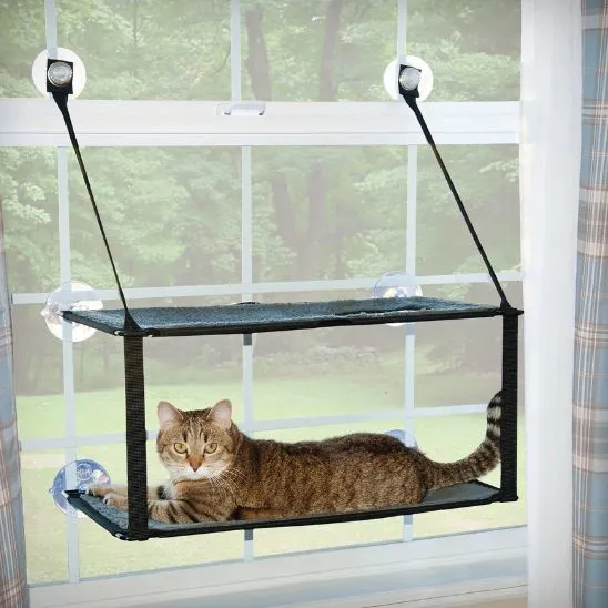 hamac pour chat fenêtre superposé