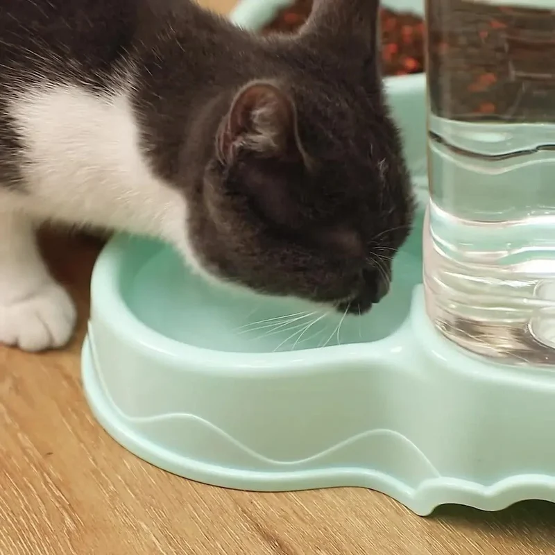 Distributeur croquettes et eau pour chat - Grande capacité