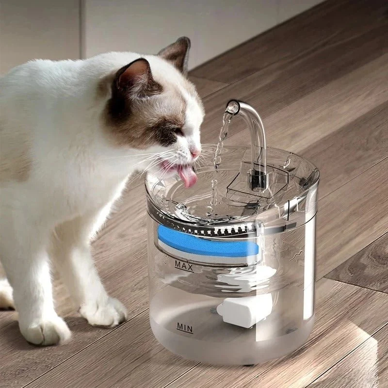 FILTRE FONTAINE A EAU CHAT - ACTION QUADRUPLE (LOT DE 12)