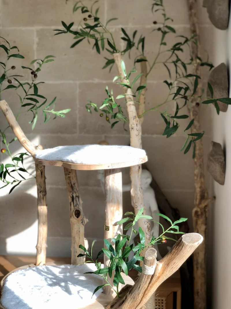 🌳 Arbre à chat en bois flotté 180 cm - Pièce artisanale Unique