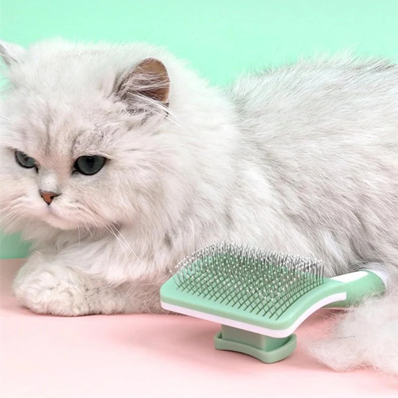 Brosse pour chat - Démêlante