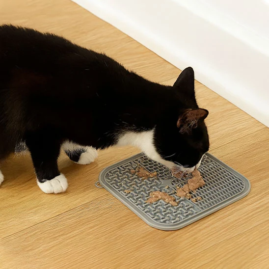 Tapis de léchage - PurrLickMat