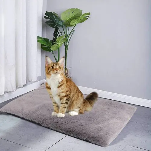tapis pour chat polyvalent