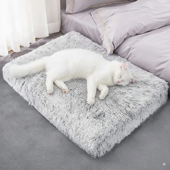 coussin pour chat orthopédique