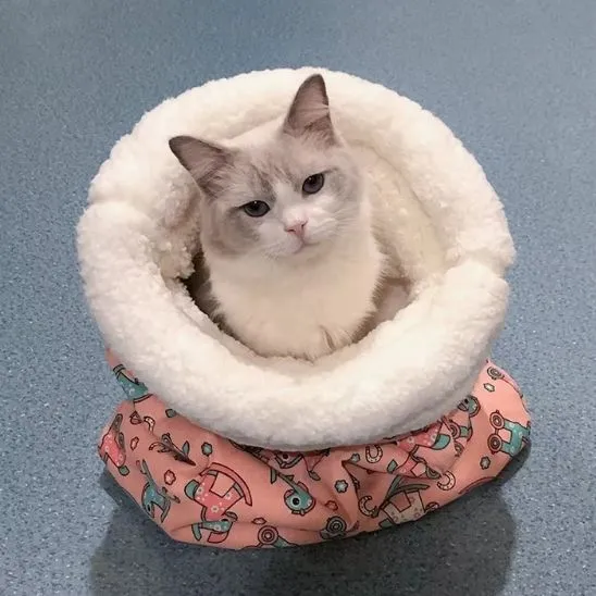 sac de couchage chat chaud