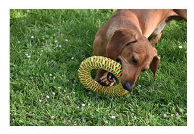 Jouet Ring pour chien - BOBBY CROCI