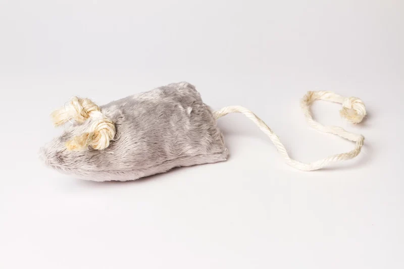 Jouet peluche souris valériane pour chats Scarlett - Evident