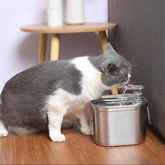FONTAINE À EAU POUR CHAT - AVEC CAPTEUR (2L)