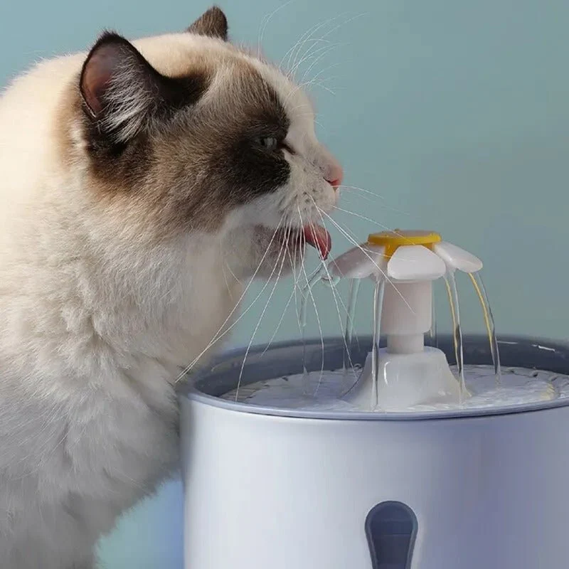 FONTAINE À EAU CHAT - ÉCLAIRAGE LED (2,4L)