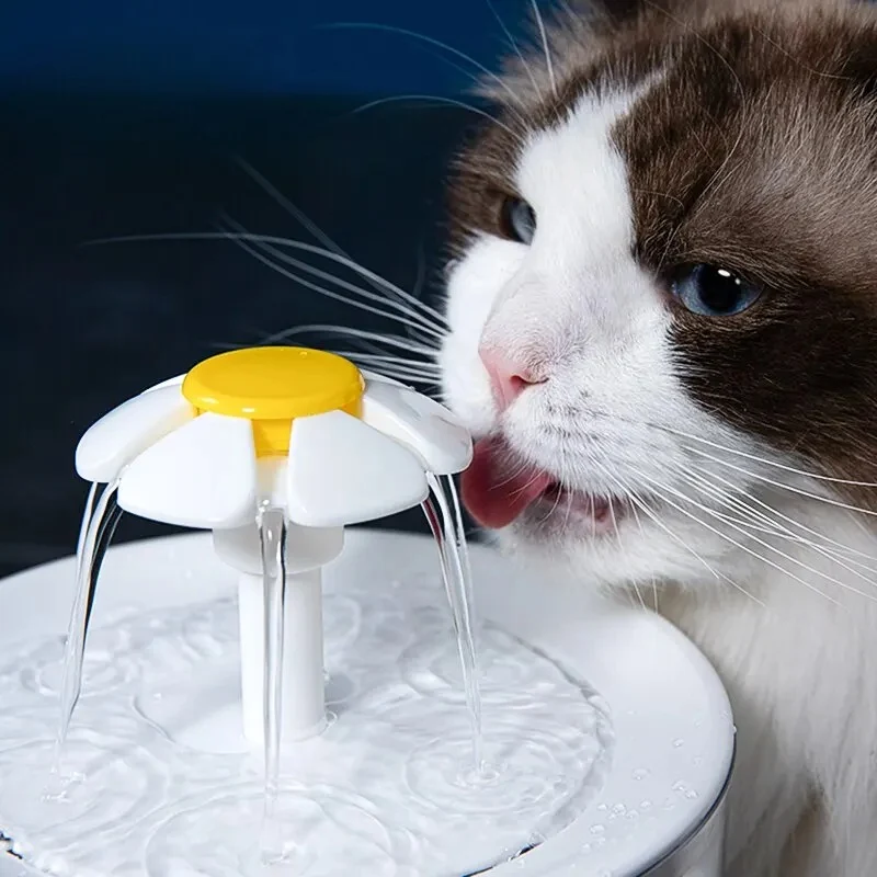 FONTAINE EAU CHAT - À FLEUR TRANSPARENTE (1L)