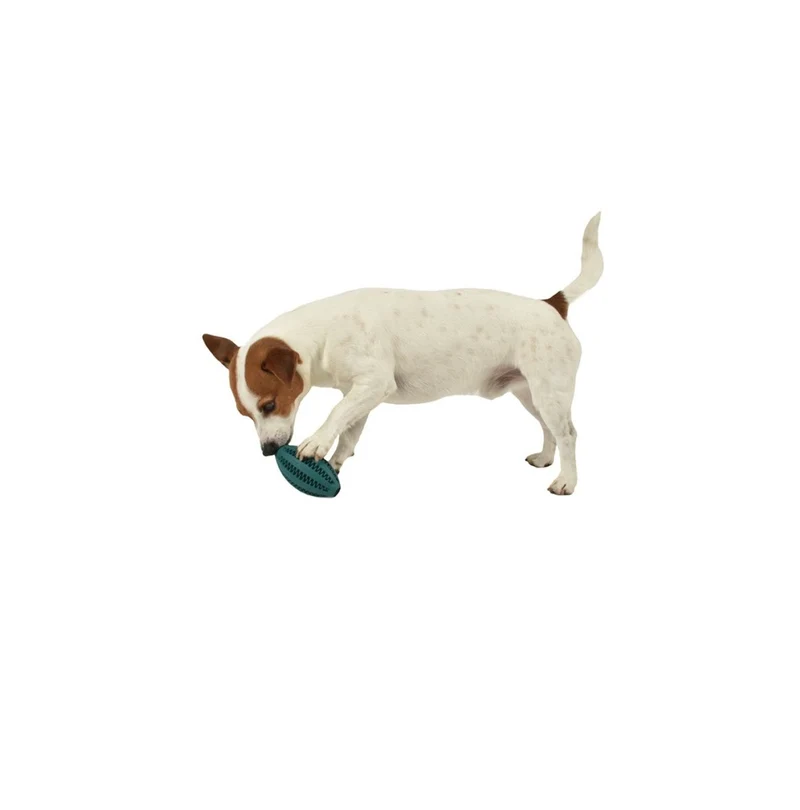 Jouet Balle de mastication pour chiens - BOBBY CROCI