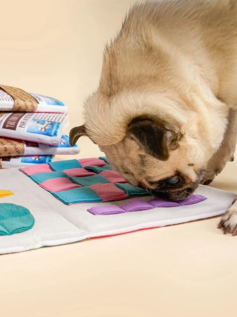 Jouet de fouille pour chien - Journal 📰 - The FurryFolks