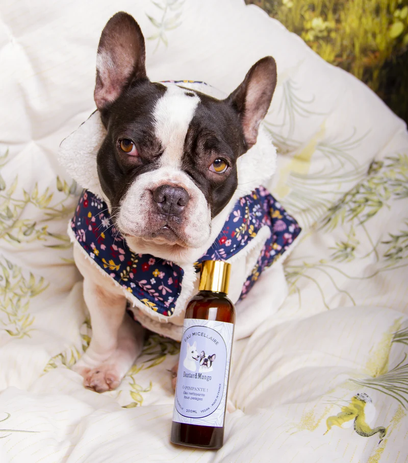 Eau micellaire Ô Pimpante ! pour chiens - Dexter et Mango