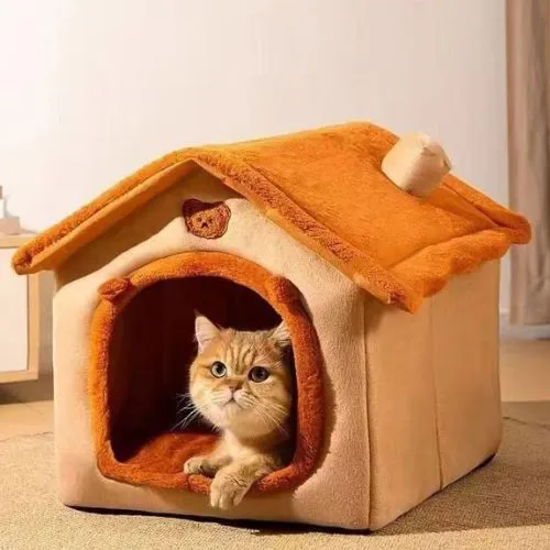 Maison pour chat - KittyHome