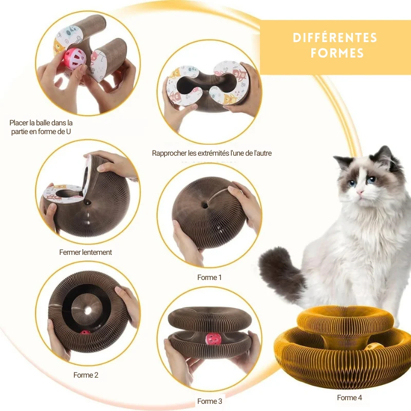 Jouet griffoir pour chat en carton - Organ Toy