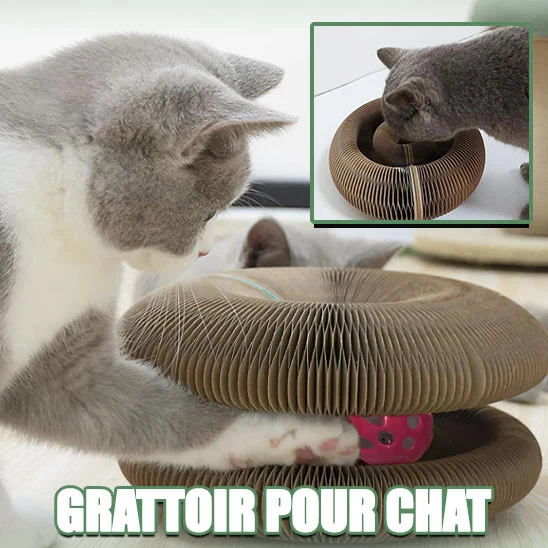Jouet griffoir pour chat en carton - Organ Toy
