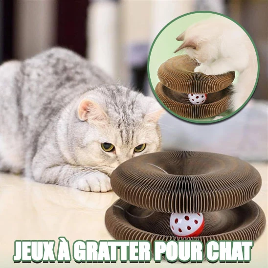 Jouet griffoir pour chat en carton - Organ Toy