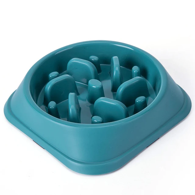 Gamelle anti glouton chat - Slow Feeder
