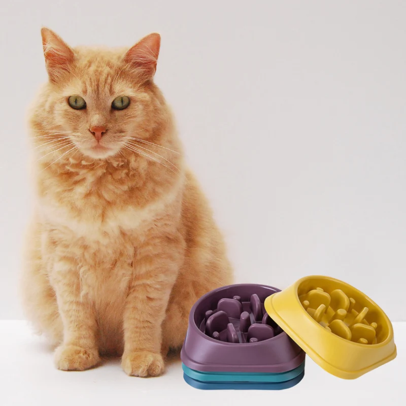 Gamelle anti glouton chat - Slow Feeder