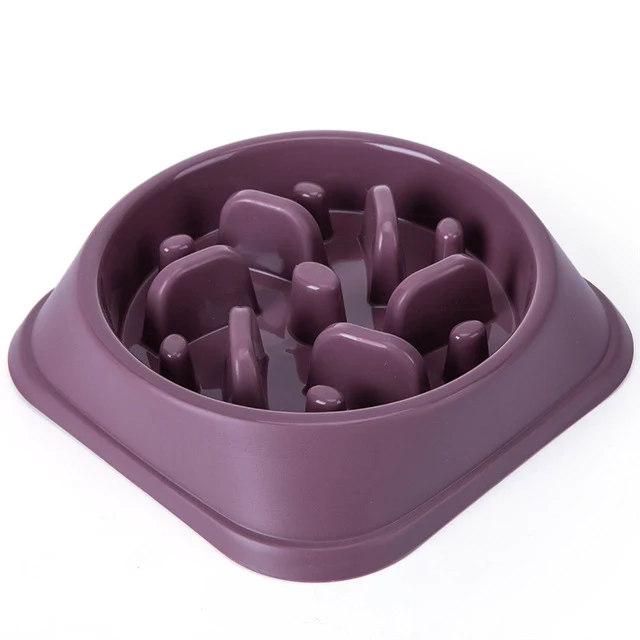 Gamelle anti glouton chat - Slow Feeder