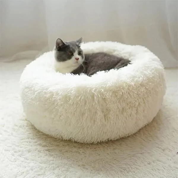 Coussin pour chat - TopConfort