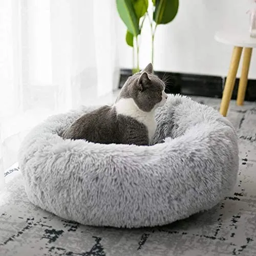 Coussin pour chat - TopConfort