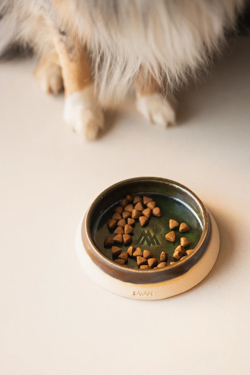 Gamelles artisanales céramique chiens - chats pièces uniques