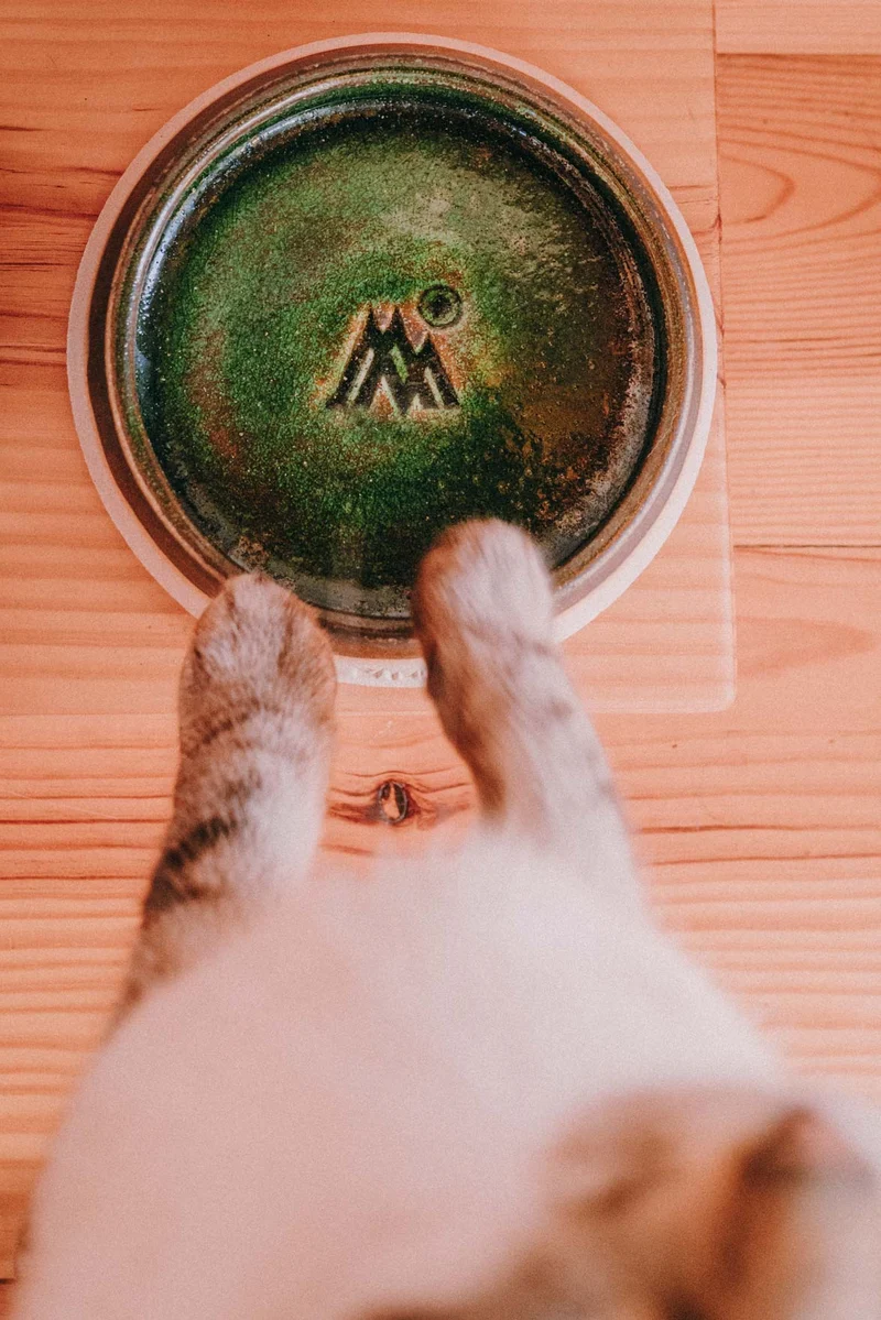 Gamelles artisanales céramique chiens - chats pièces uniques