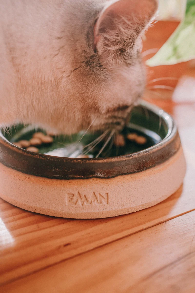 Gamelles artisanales céramique chiens - chats pièces uniques