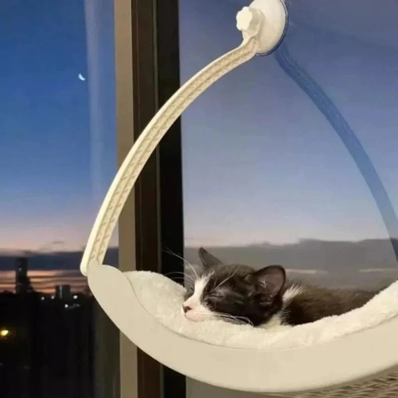 Hamac pour chat ventouse - Vue extérieure | WindowPaws