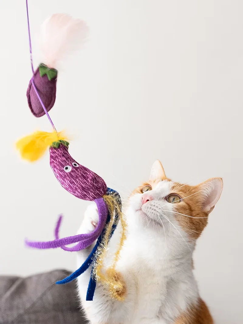 Canne à pêche pour chat - Aubergine 🍆 - Pet PLAY