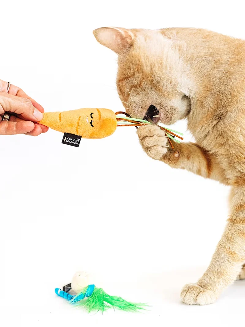 Jouet pour chat - Carottes 🥕 - Pet PLAY