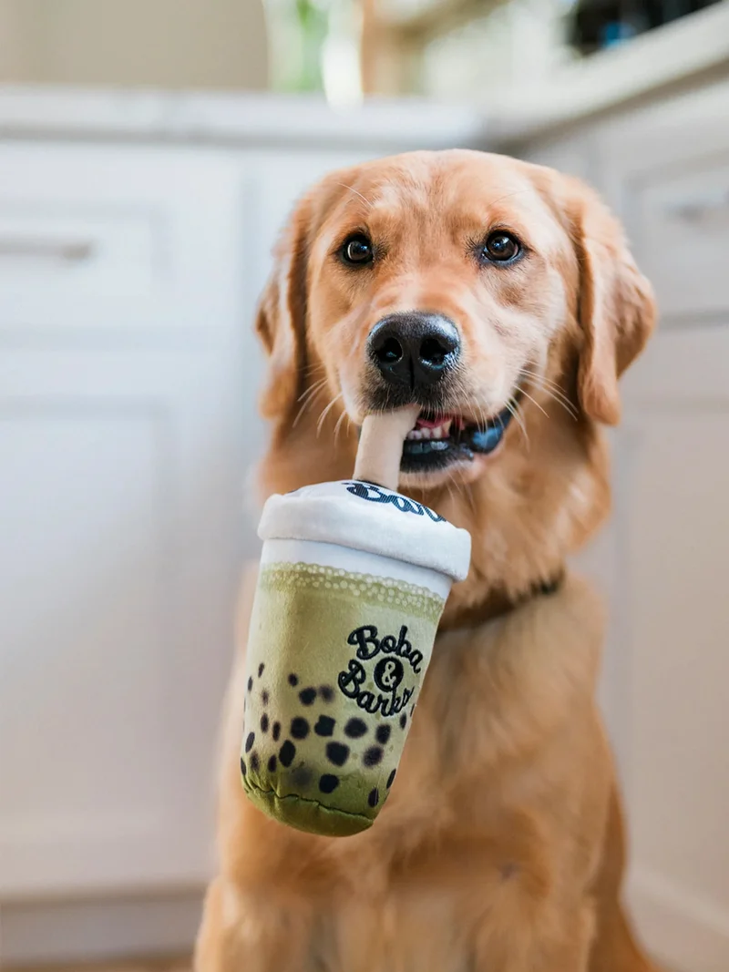 Peluche pour chien - Matcha Boba 🧋 - Pet PLAY
