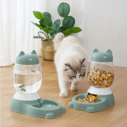 distributeur eau et croquettes pour chat oreilles