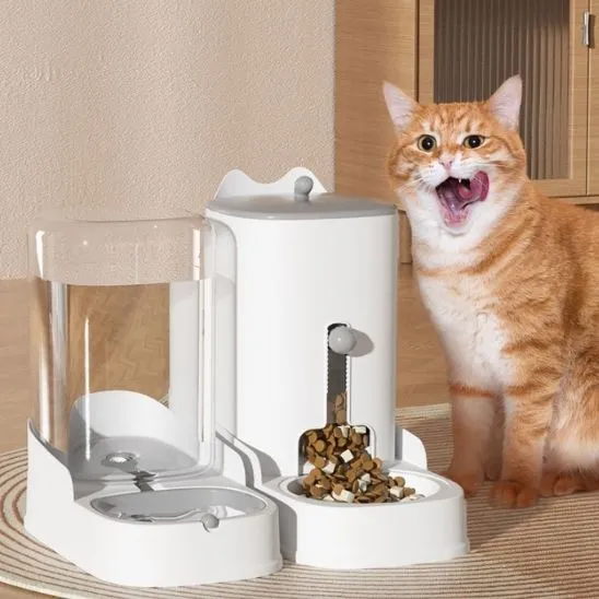 distributeur de croquettes pour chat | DISTRI MIAM