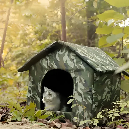 Niche pour chat extérieur hiver