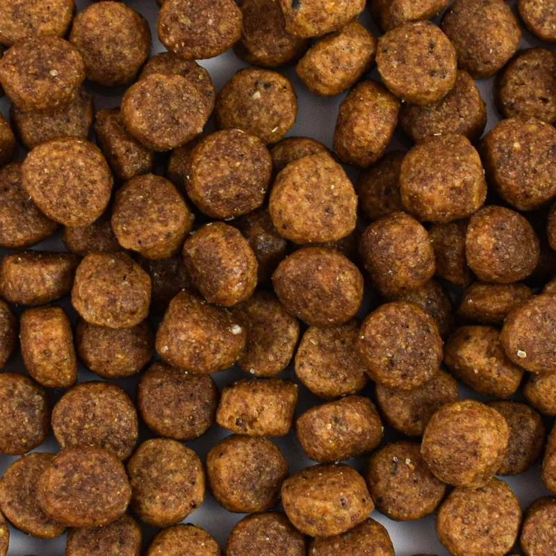 Croquettes chat sans céréales au saumon - Made in France - Atavik
