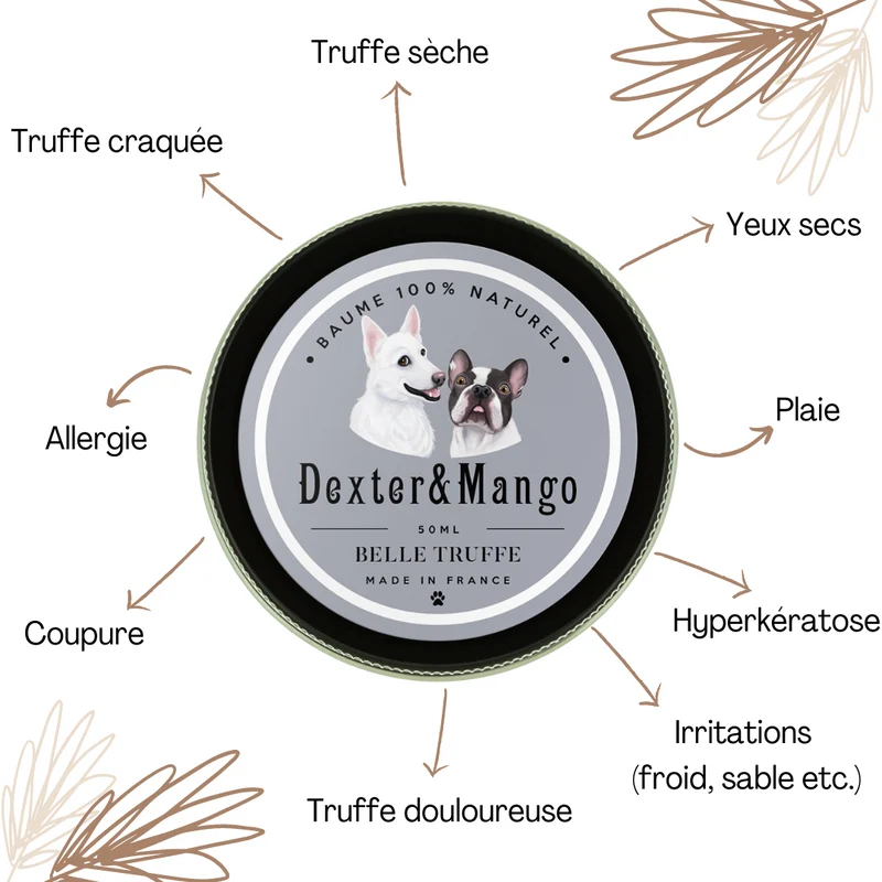 Baume Belle Truffe pour chiens 👃 Dexter & Mango