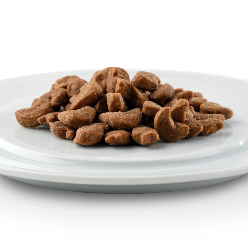 Friandises pour chat au fromage - Equilibre & Instinct