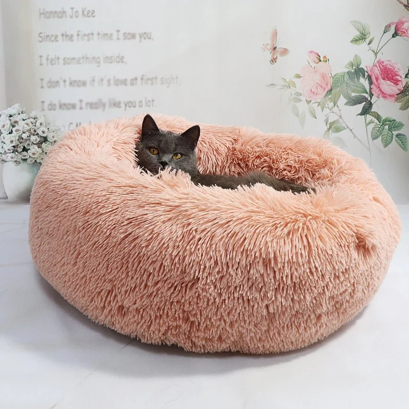 Coussin pour chat - Douillet